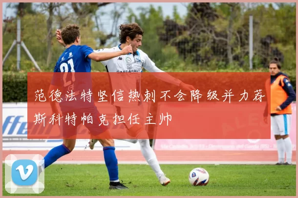 范德法特坚信热刺不会降级并力荐斯科特帕克担任主帅