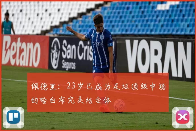 佩德里：23岁已成为足坛顶级中场的哈白布完美结合体